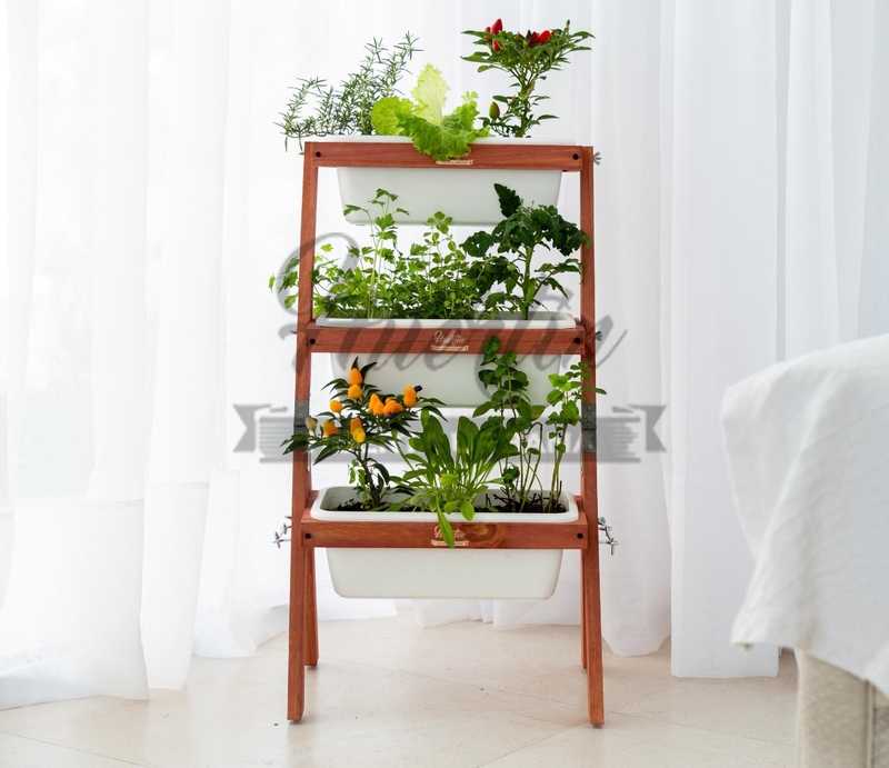 Huertin - Huerta Vertical - Aromáticas - Flores - Vegetales